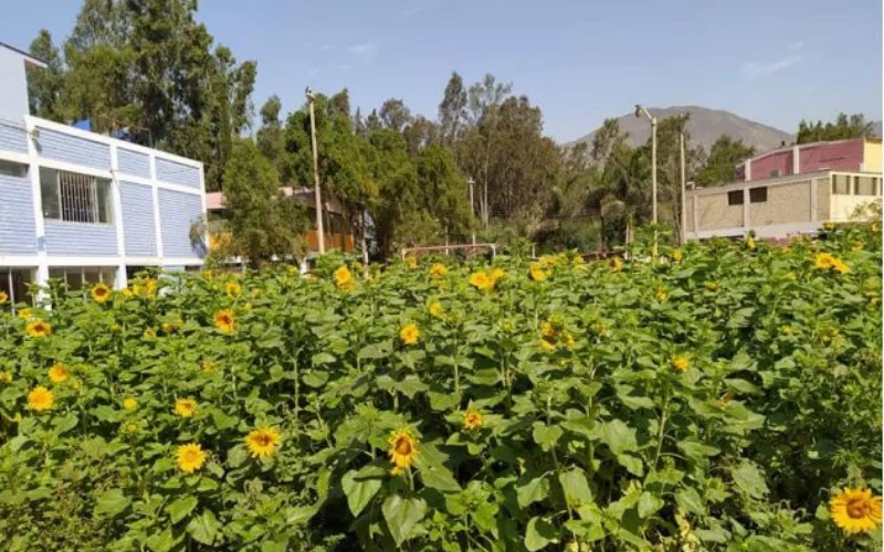 planta de tratamiento