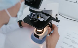bacterias