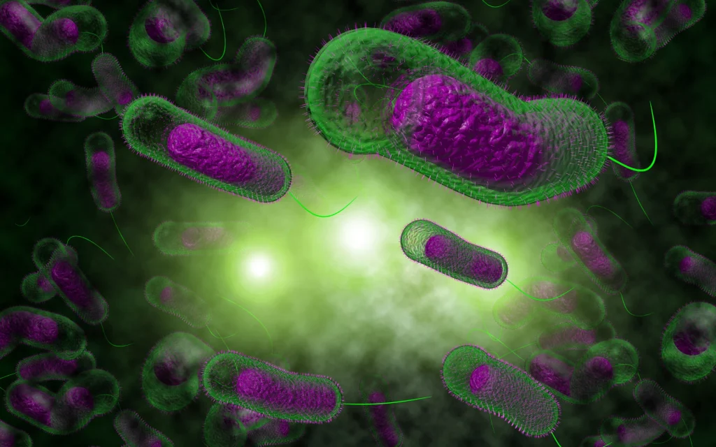 bacterias